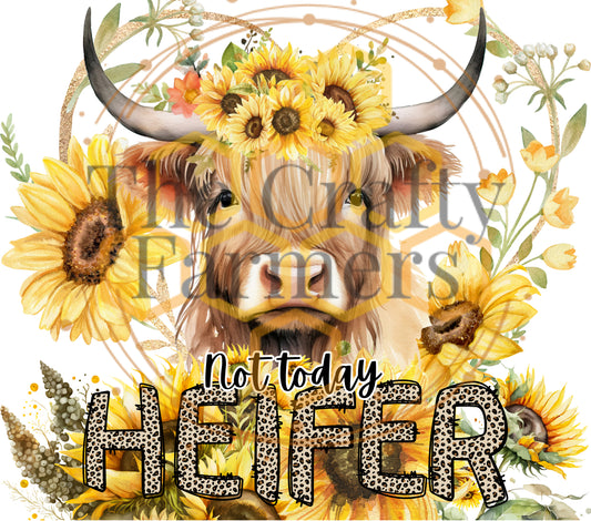 Not Today Heifer- Highlander