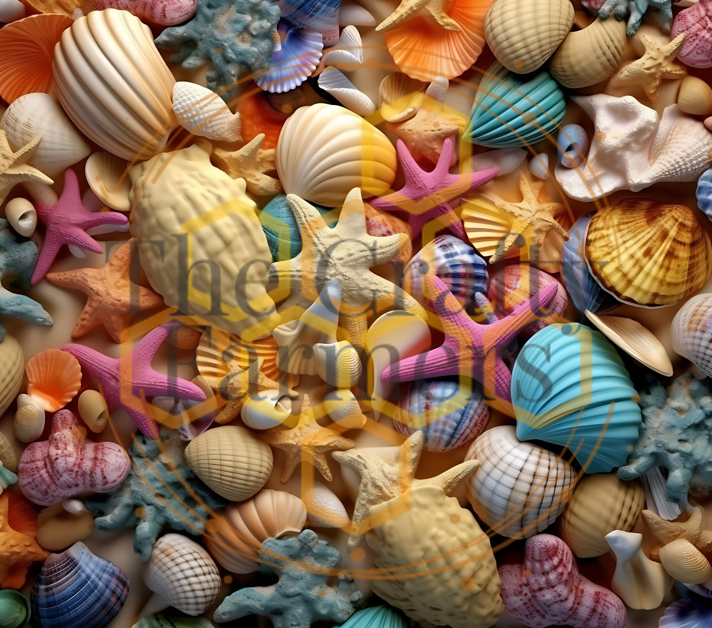 Sea Shells-2